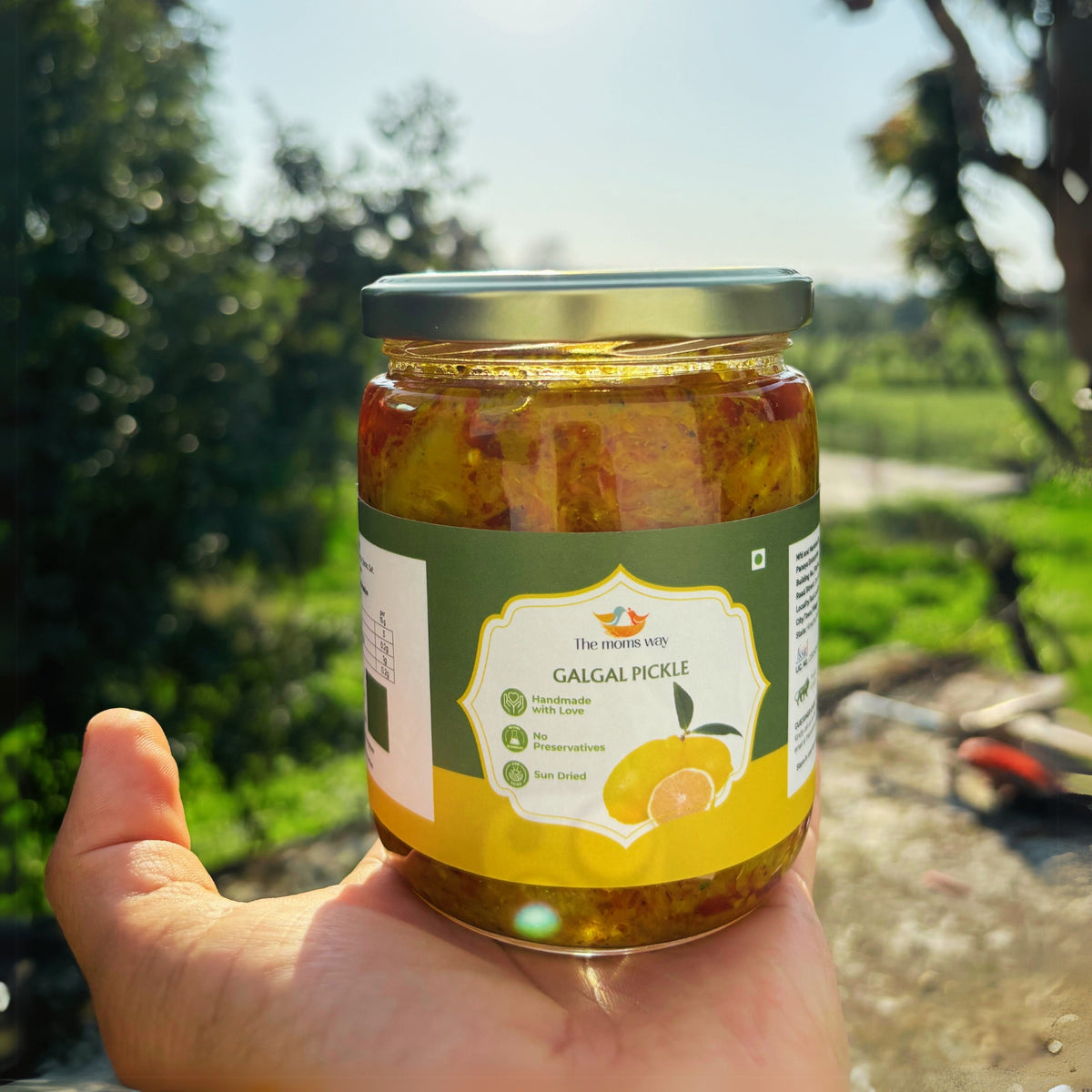 Homemade  Galgal Pickle | Pahadi Nimbu ka Achar